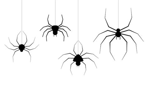 Halloween spinnenweb vector. zwarte spin op een witte achtergrond ...