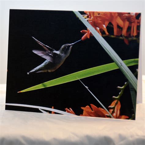 Image result for Hummingbird Card