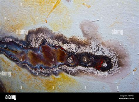 Image result for Steel Rust