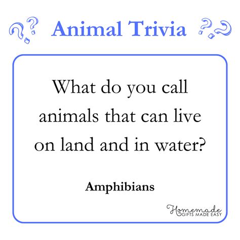 Image result for Free Trivia Questions