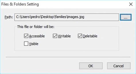Image result for How to Use Easy File Locker Win11