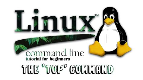 Image result for Linux Command Line Tutorial