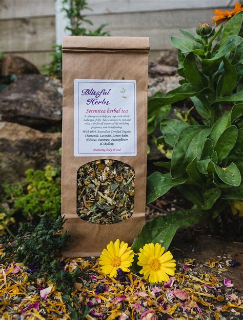 Hibiscus Flower Tea Pregnancy at Jimmy Milam blog