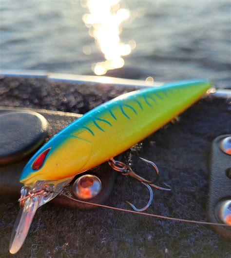 Image result for Angelkoder Schweden Hecht