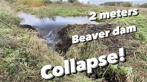 Exploding Beaver Dam 的图像结果