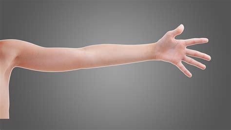 Why Are My Forearms So Skinny? 3 Exercises to Make them Bigger - Inspire US