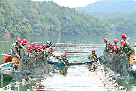 江西丰城：又到鱼肥丰收时-人民图片网