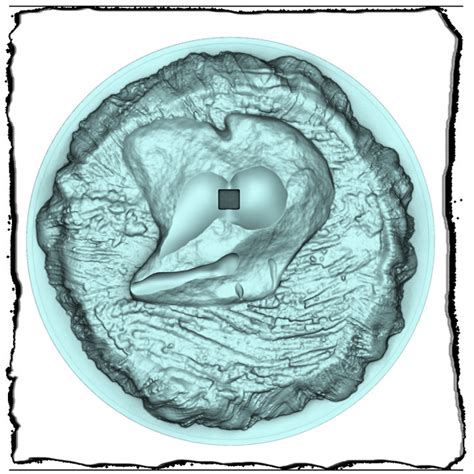 Image result for Onigami Java Algorithm