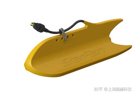 SCP 4307 的图像结果