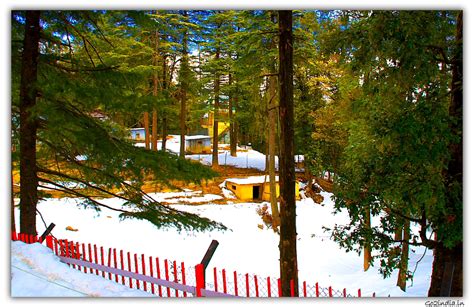 go2india.in : Kufri Zoo in winter