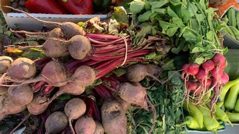 Source Local Farmers 的图像结果