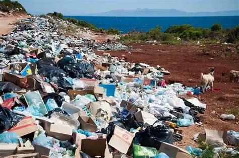 Want a sustainable lifestyle? Not sure where to start? Here are the top ...