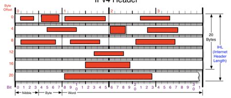 Header IPv4 Datragram 的图像结果