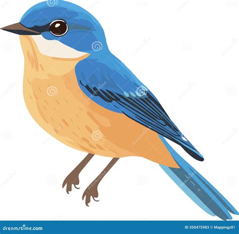 Simple Vector Eastern Bluebird Clipart Stock Vector - Illustration of ...
