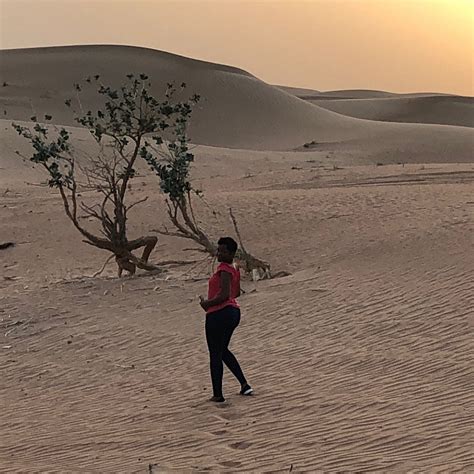 DESERT SAFARI (2026) All You Need to Know BEFORE You Go (with Photos ...