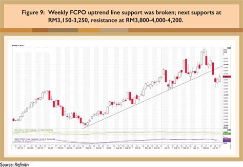 Palm Oil Supply and Demand Prospects | Global Oil & Fats Business ...