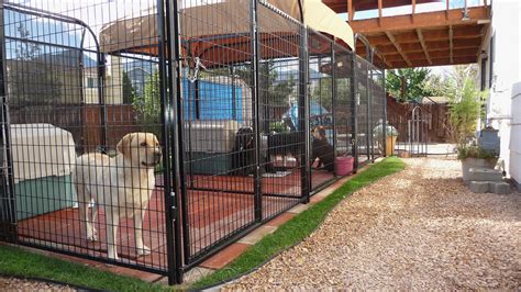 Best Flooring For Outdoor Dog Run at William Gainey blog