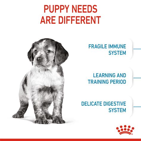 Medium Puppy Dry Dog Food | Royal Canin US
