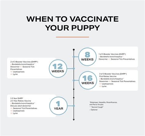Puppy Vaccination Schedule: when to get them and why