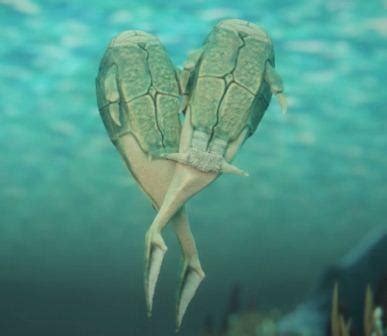 Scientists Trace Origin of Sex to Ancient Scottish Lake Fish [VIDEOS ...