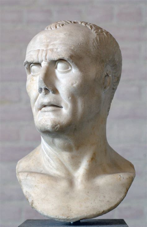 Portrait bust of Gaius Marius, called the third founder of Rome - Glyptothek Munich | Historic ...