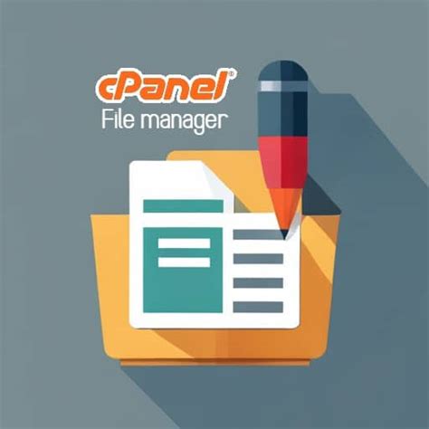 cPanel File Manager 的图像结果