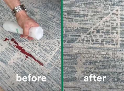 Carpet Stain Removal | Coffee, Wine, and Pet Stains