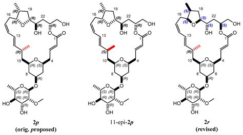 Conformational Investigations in Flexible Molecules Using Orientational ...