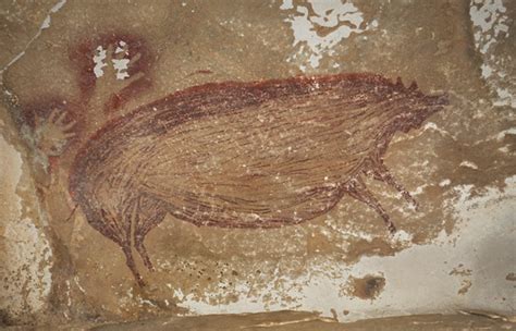 Самый древний наскальный рисунок оказался свиньёй - Animal.by