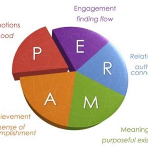 Image result for Perma Model