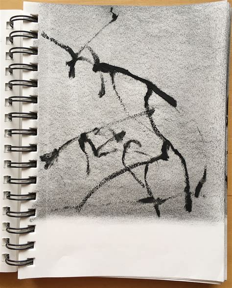 Draw Notebook 的图像结果