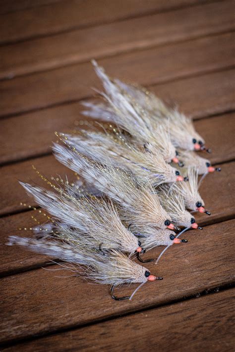 Snook Fly Patterns 的图像结果