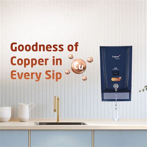 Buy Online RO Water Purifiers for Home, Best RO Water Purifier in India ...