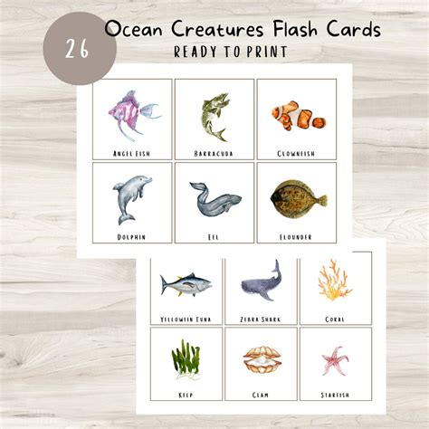 Terrifying Sea Creatures Flash Cards 的图像结果