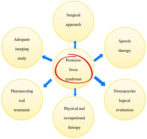 A Rare Case of Posterior Fossa Syndrome Associated with Neuropathic ...