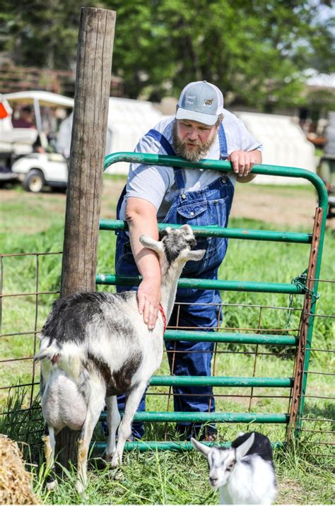 Goat Kid Cuddling & Farm Tour, 6667 36th St Colfax Wi, Elk Mound, 11 ...