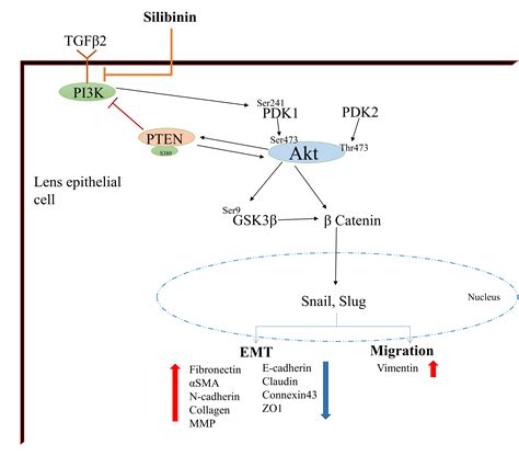 Journal of Biosciences | Indian Academy of Sciences