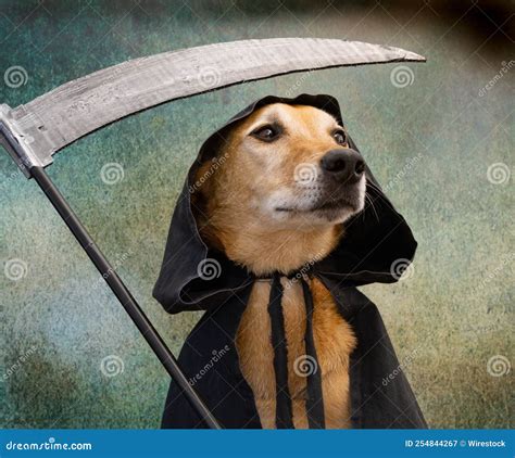 Personification Of Fear In Greek Mythology God Phobos. He Is The Son Of ...