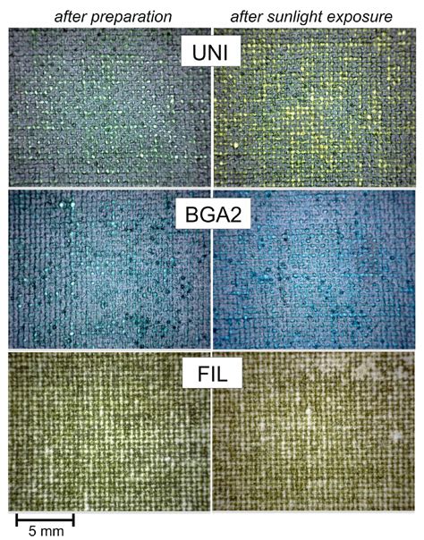 Algae-Based Coatings for Fully Bio-Based and Colored Textile Products