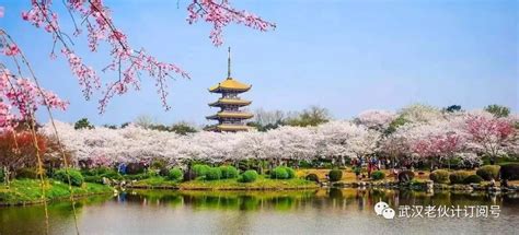 春暖花开！又到一年赏花季，2018武汉春季赏花最全攻略来了！