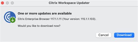 Image result for Citrix Workspace Updater Service