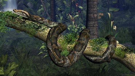 Image result for Reticulated Python Art