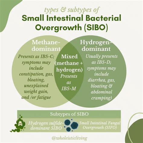 Manage Small Intestinal Bacterial Overgrowth with Low FODMAP Diets! – McIsaac Health