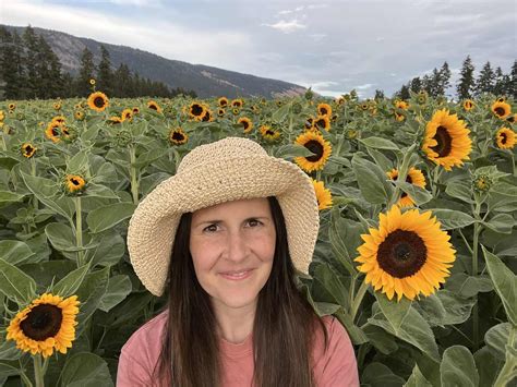 When is sunflower season? 🌻 📅 A comprehensive guide