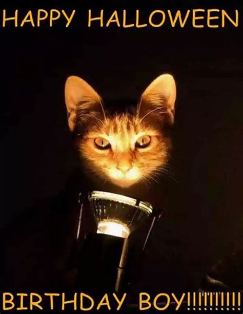 15 Spooky Halloween Birthday Memes - QuotesProject.Com | Happy birthday ...