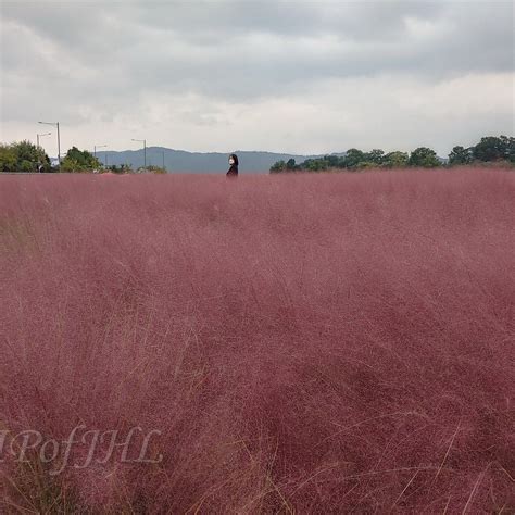 NARI PARK - All You Need to Know BEFORE You Go (with Photos) - Tripadvisor