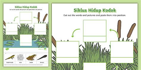 Frog Life Cycle Cut and Paste Activity - Indonesian - Twinkl