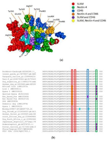 Canine and Phocine Distemper Viruses: Global Spread and Genetic Basis ...