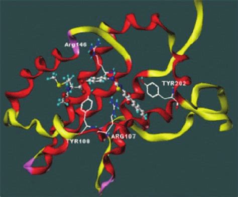 Bcf2 Structure 的图像结果