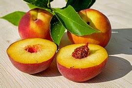 Image result for Matplotlib C-Map Cividis